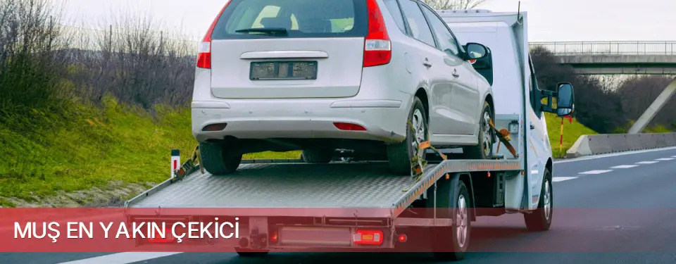 Muş İli En Yakın Çekici