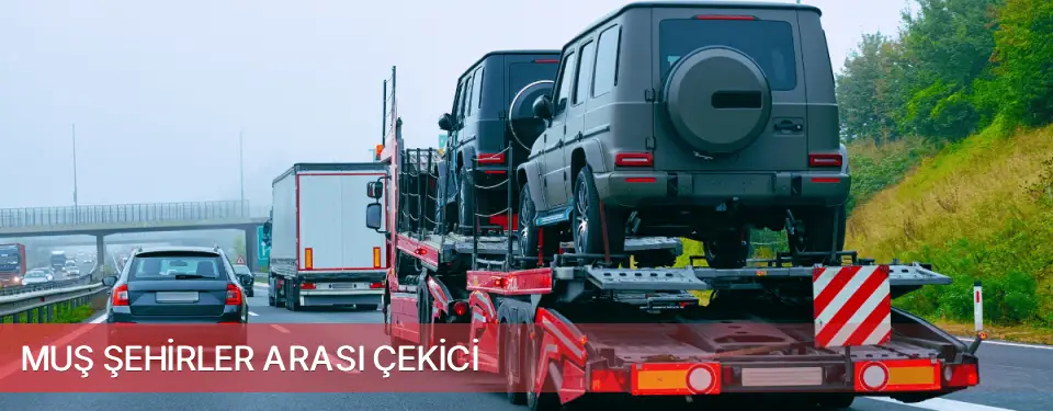 Muş İli Şehirler Arası Çekici